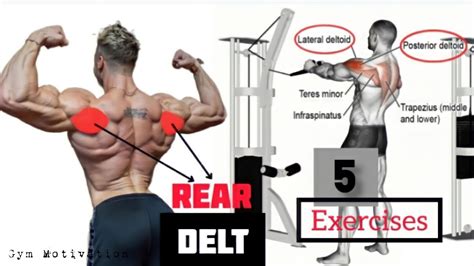 Best 5 Exercises Rear Delt Workout Shredded Body Youtube