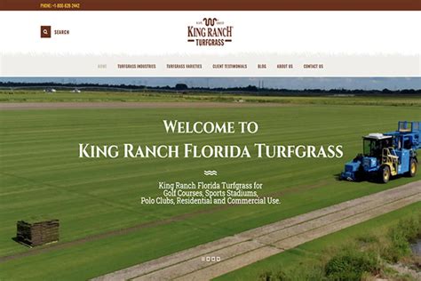 King Ranch Florida Turfgrass Cannabis