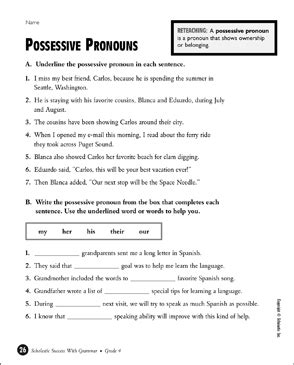 Possessive Pronouns Worksheet Grade 4