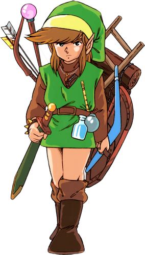 Link Hero Of Hyrule Heroes Wiki Fandom
