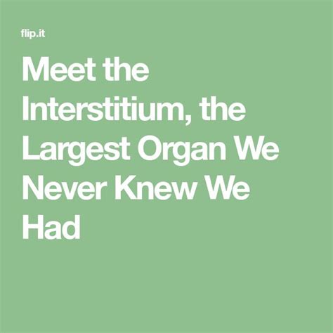 Meet The Interstitium The Largest Organ We Never Knew We Had