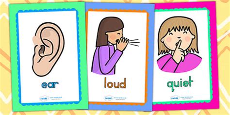 Sound And Hearing Display Posters Teacher Made Twinkl