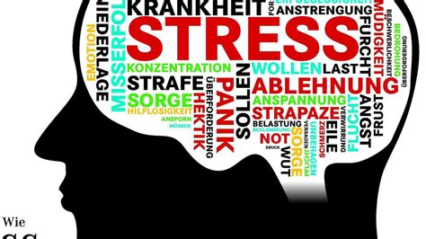 Wie Stress Das Verhalten Verändert
