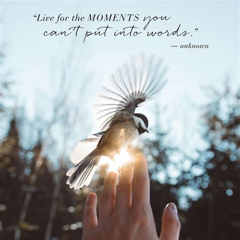 Life Quotes About Living In The Moment Moment Living Quotes