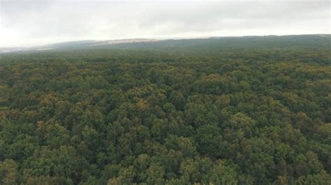 Aerial View On Forest In Russia Stock Video Footage Storyblocks