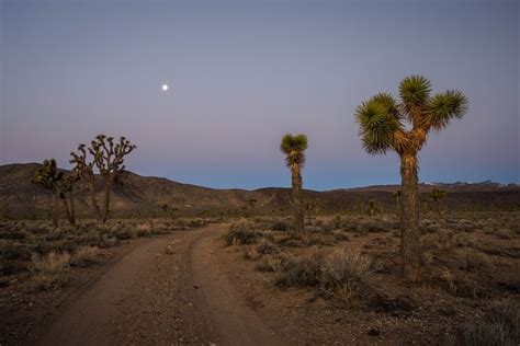 Mojave Desert Moon At Sunrise In 2023 Desert Photography Desert