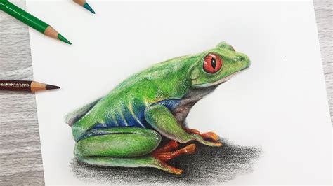 How To Draw A Frog Using Colored Pencil Youtube