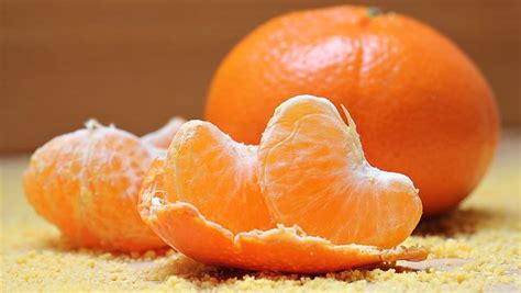 21 Interesting Facts About Oranges Cool Kid Facts