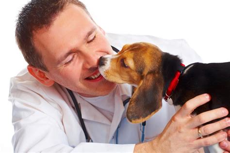 An appointment isn't necessary when ever since i started working here at east valley emergency pet clinic i have been reading and learning as much as i can about pet health and well. Pet Emergency & Critical Care | Diamond Bar, CA