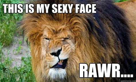 this is my sexy face rawr sexy lion quickmeme