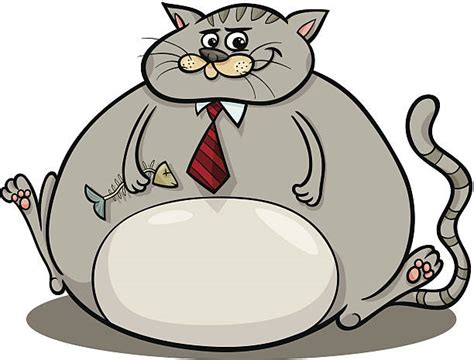 Fat Cat Clip Art Vector Images And Illustrations Istock