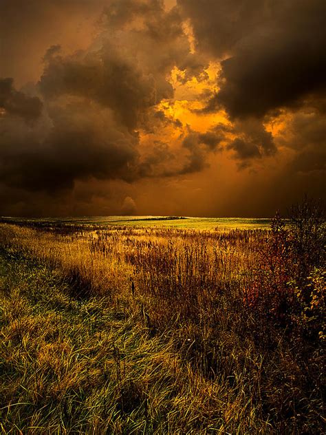 An Autumn Storm Photograph By Phil Koch Fine Art America