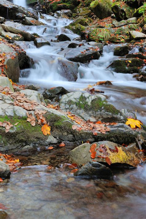 Autumn Forest Waterfall Stock Photo Image Of Flowing 78538452