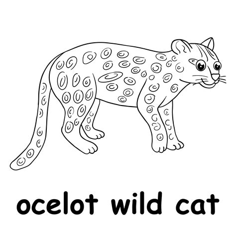 niños línea ilustración colorear ocelote gato salvaje los animales son