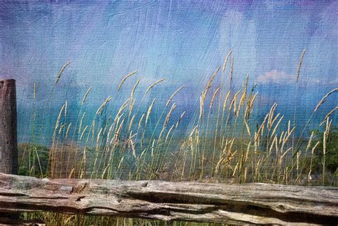 Summer Rendezvous Photograph By Robin Webster Fine Art America