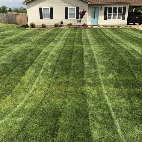 Rye Grass Or Tall Fescue Lawn Care Forum
