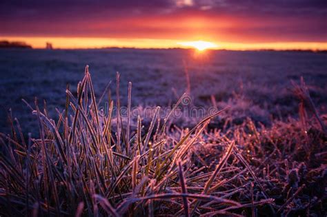 A Beautiful Colorful Spring Sunrise Over The Field Stock Photo