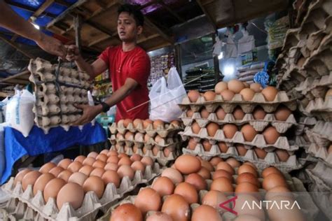 Pemkab Nagan Raya Catat Kenaikan Harga Telur Ayam Rp800 Per Kilogram Berikut Ini Harganya