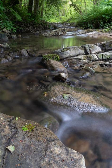 Shallow Mountain Stream In Green Forest At Summer Water Flows Over Wet