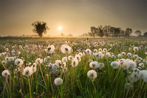 5 Tips For Taking Beautiful Photos Of Nature