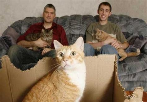 Paul Klusman — Cat Guy Extraordinaire — Stumps For Ginger Catster