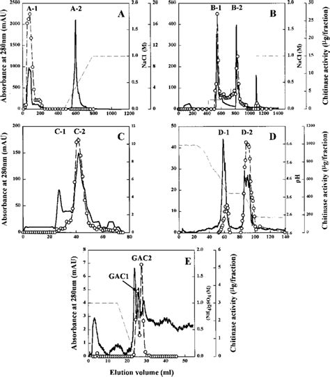Liquid Chromatography Of Gallus Gallus Chitinases H Chitin Was
