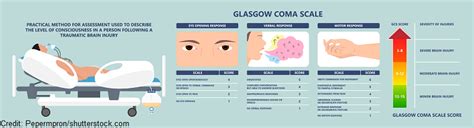 Glasgow Coma Scale Gcs Assessment Nursing Nclex Review Pdf