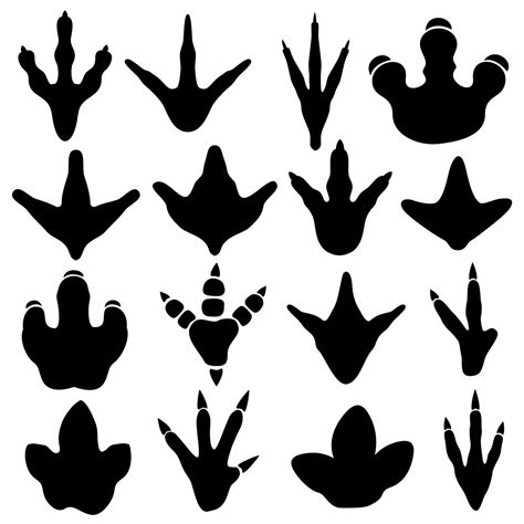 Dinosaur claw footprint silhouettes vector set By Microvector ...
