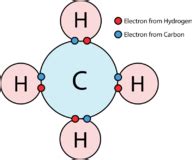 A water molecule because the oxygen atom pulls elecrons closer to it than the hydrogen atoms do, forming a molecule that is slightly more positiive at one end than at the other. 3.3: Chemical Bonding - Biology LibreTexts