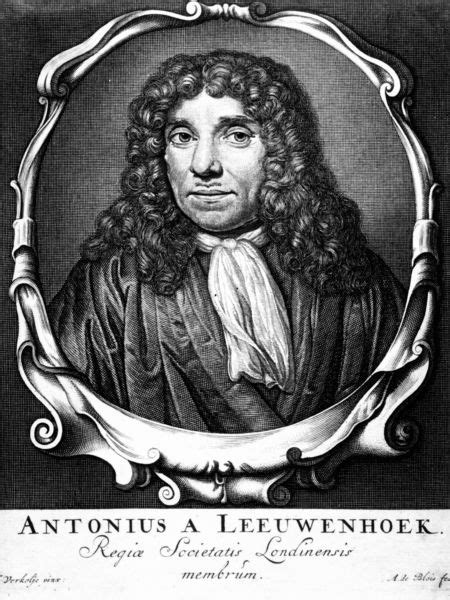 Dutch Microscopist Anton Von Leeuwenhoek Free Photo Download Freeimages