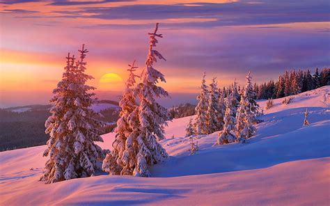 Amazing Winter Sunset Bonito Sunset Trees Cold Winter Amazing