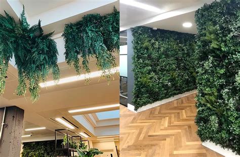Office Plants And Living Walls Cardiff Swansea And South Wales Inleaf