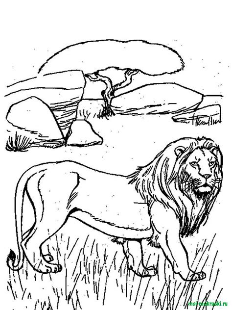 Free printable animal coloring pages | coloring pages for kids Free Wild Animal coloring pages. Download and print Wild Animal coloring pages
