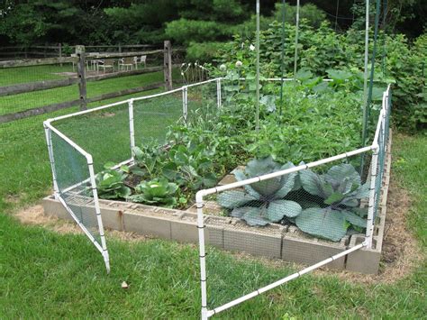 It's easy to start your own vegetable garden. How to build a garden | Fenced vegetable garden, Cheap garden fencing, Plastic garden fencing