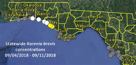 Red Tide Florida 2018 Map Maps For You