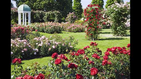 Les 40 Meilleures Idées De Conception De Jardin De Roses Youtube