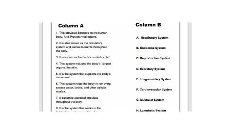 human body systems worksheet