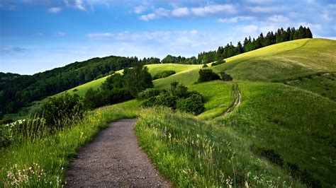 Path Way Landscape Hills Mountains Forest Green Nature Spring Sky Trees