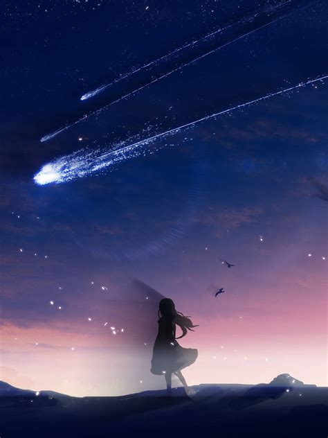 Download Falling Star Anime Night Sky Wallpaper