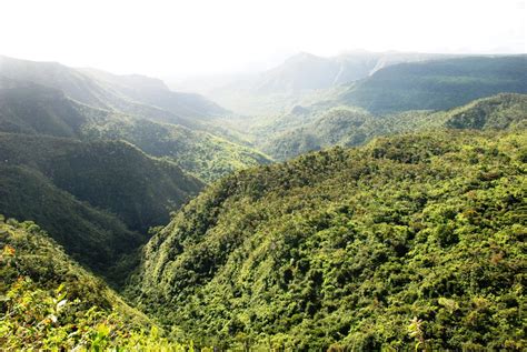 Free Images Forest Wilderness Valley Mountain Range Jungle Ridge