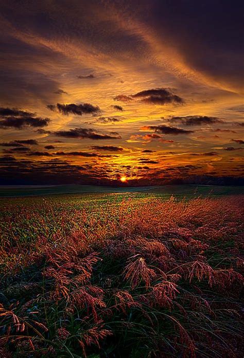 Recluse Horizons By Phil Koch Lives In Milwaukee Wisconsin Usa