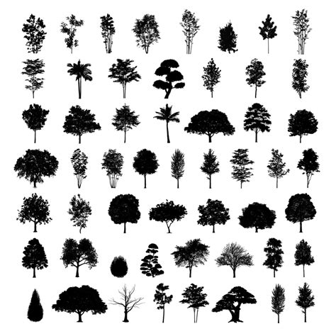 Photoshop Brushes 54 Trees Download Now Studio Alternativi