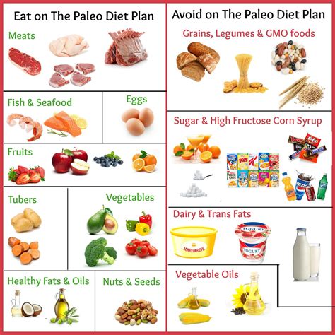 What Is Paleo Diet What Foods To Eat And Avoid On Paleo Diet