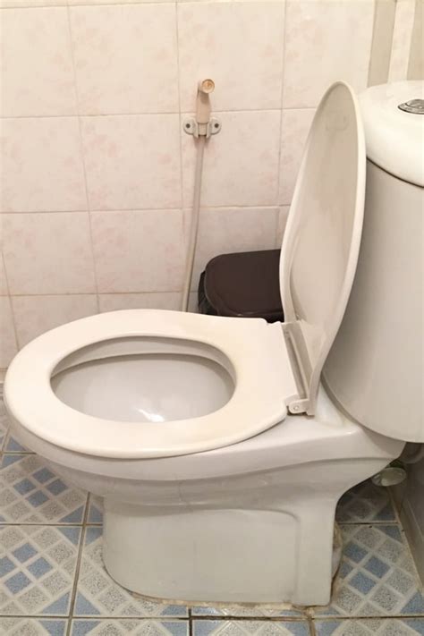 Types Of Toilet Seats Which Is Right For You