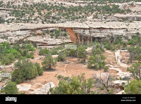 Utah Natural Bridges National Monument Owachomo Bridge Stock Photo Alamy