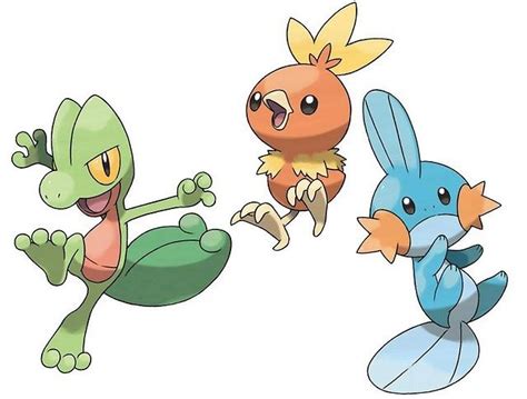 The Starters Of Pokemon Omega Ruby And Alpha Sapphire Treecko Torchic