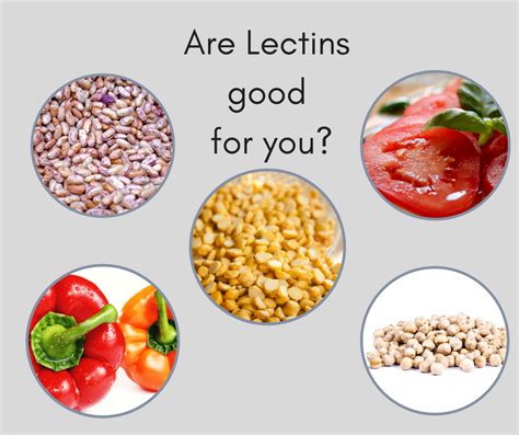 lectins what are they love them or leave them willow wellness naturopathic clinic
