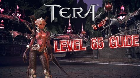 Here's a guide written by bowlingball on an endgame level 65 pve build, and strategy on how to play lancer in tera online. Tera Console - What to Do at Level 65 | Step-by-Step Tutorial - YouTube
