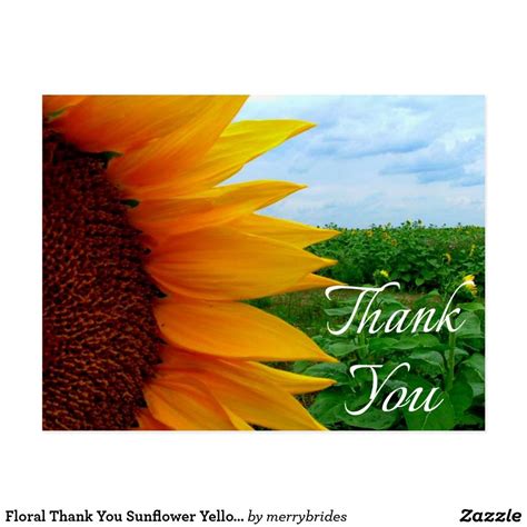 Floral Thank You Sunflower Yellow Flowers Green Postcard Thank You