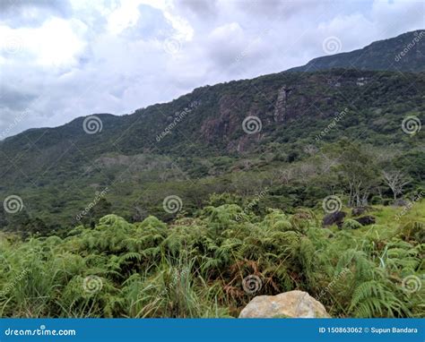 Natural Beauty Of Sri Lanka Stock Photo Image Of Landscape Natural